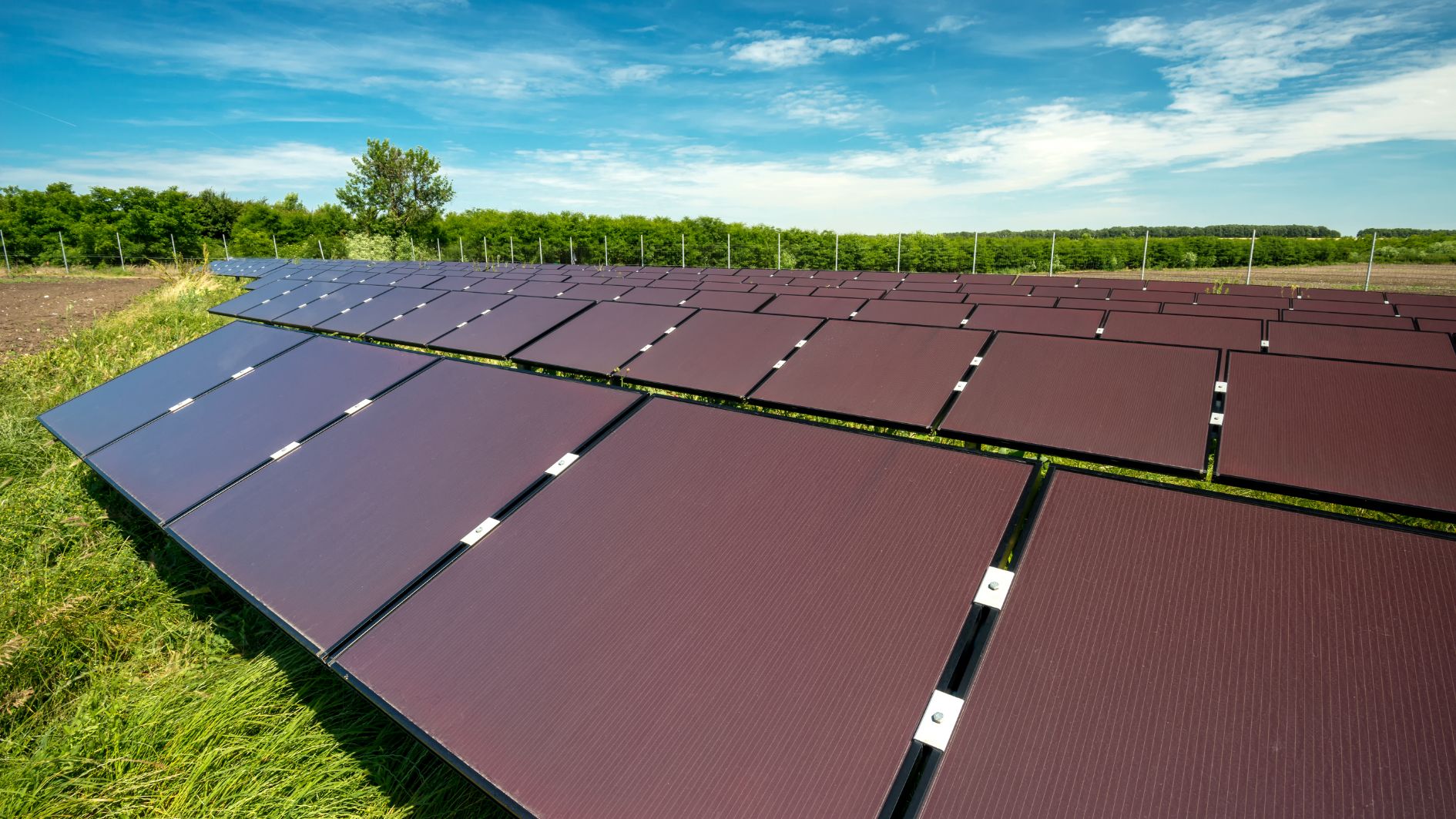 Ground-Mounted Solar Panels: A Smart Alternative for Your Yard