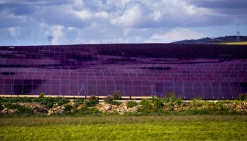 A $5 million grant for dual-use solar projects could help protect North Country farming