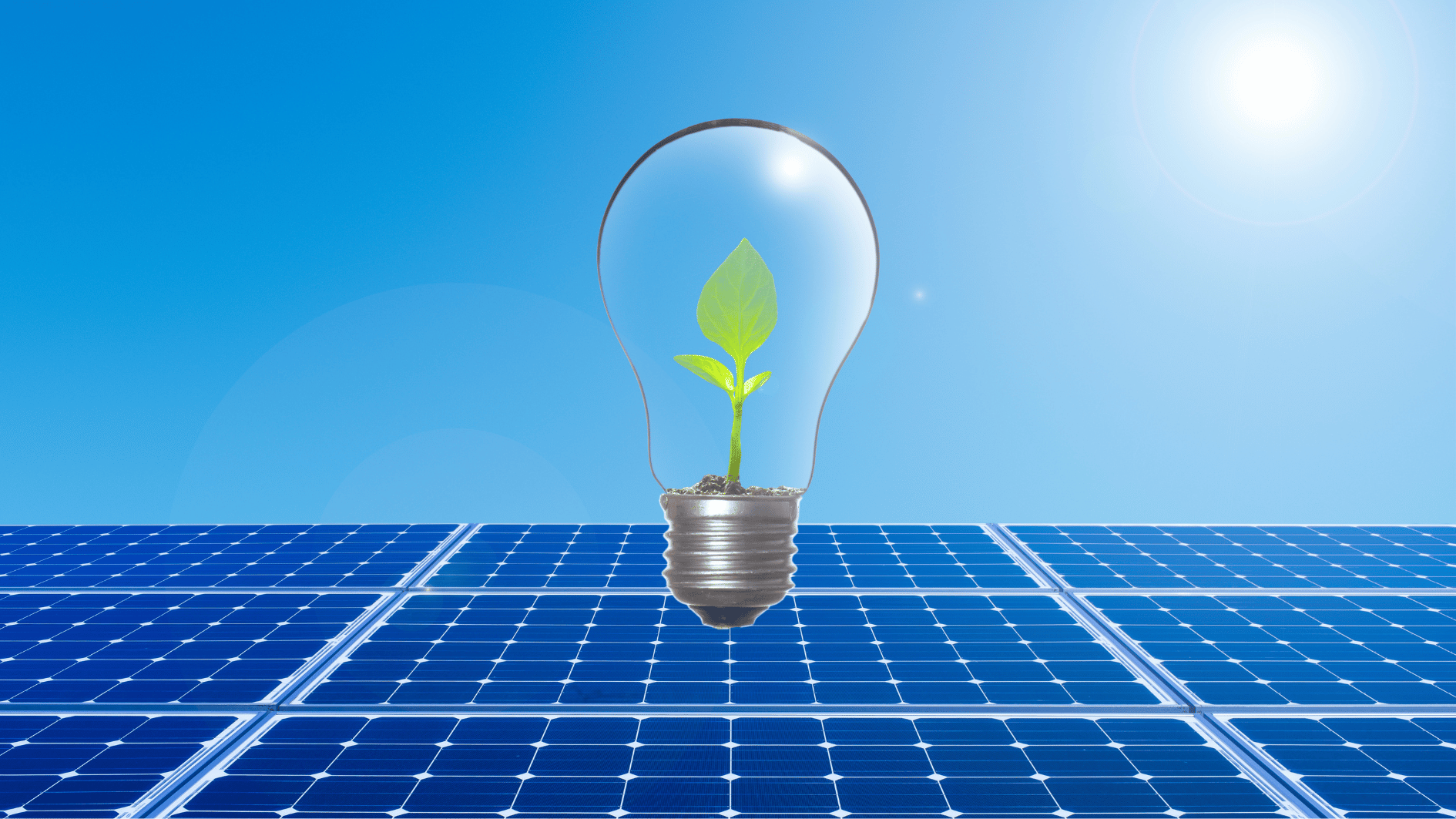 VDER: New York’s Alternative to Net Metering