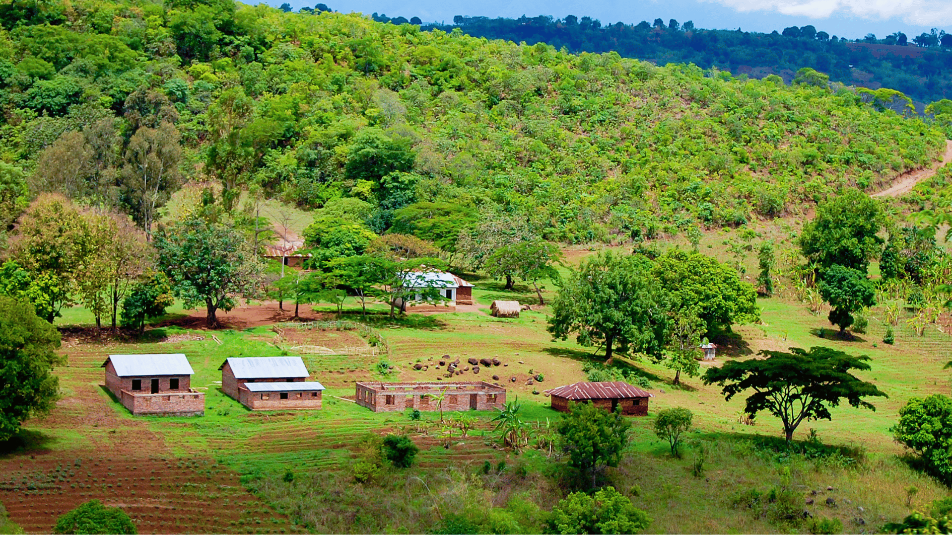 What Are Disadvantaged Communities? A Closer Look at Farmworkers and Other At-Risk Groups