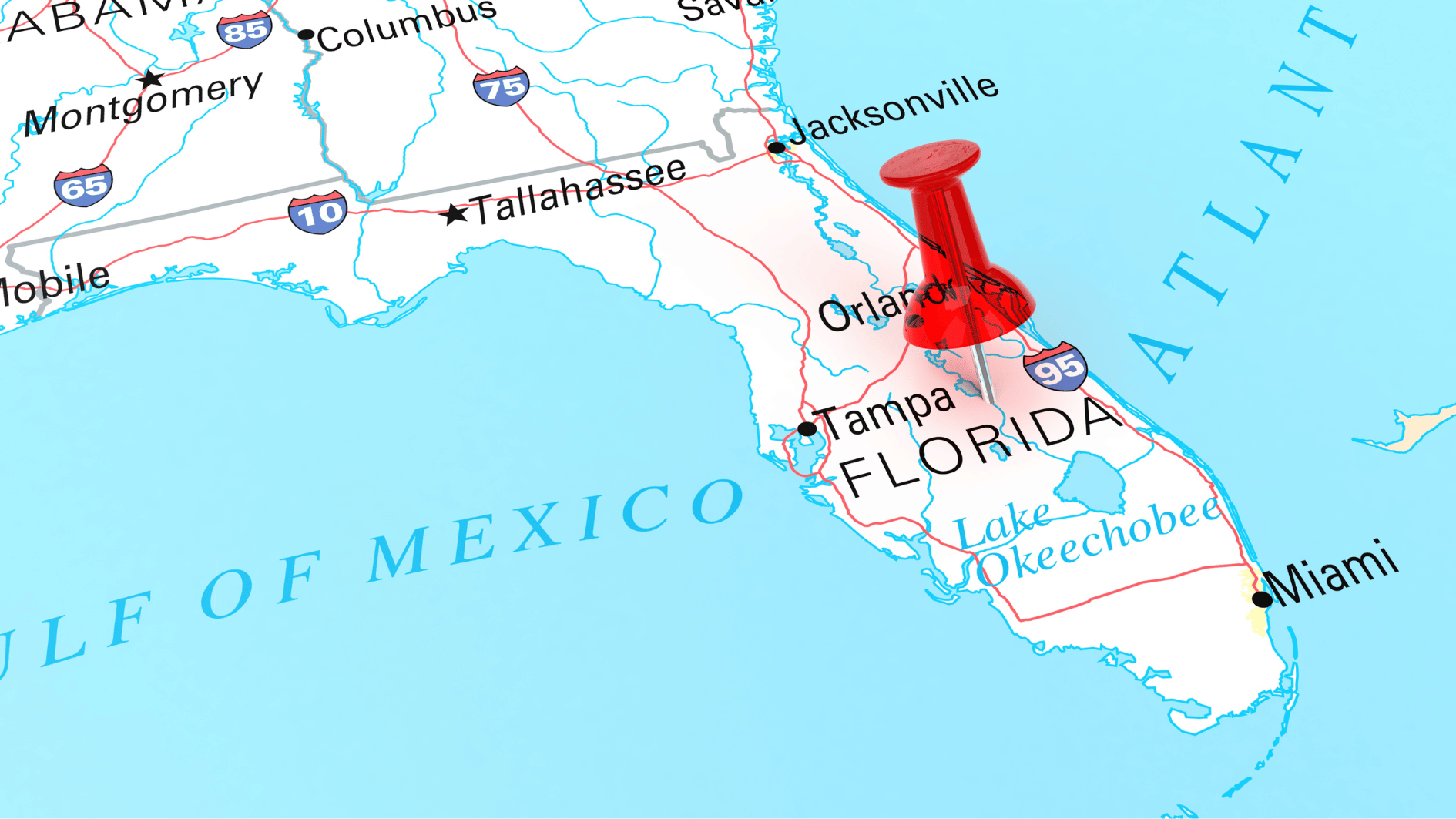 Is Going Solar Worth It in Florida?