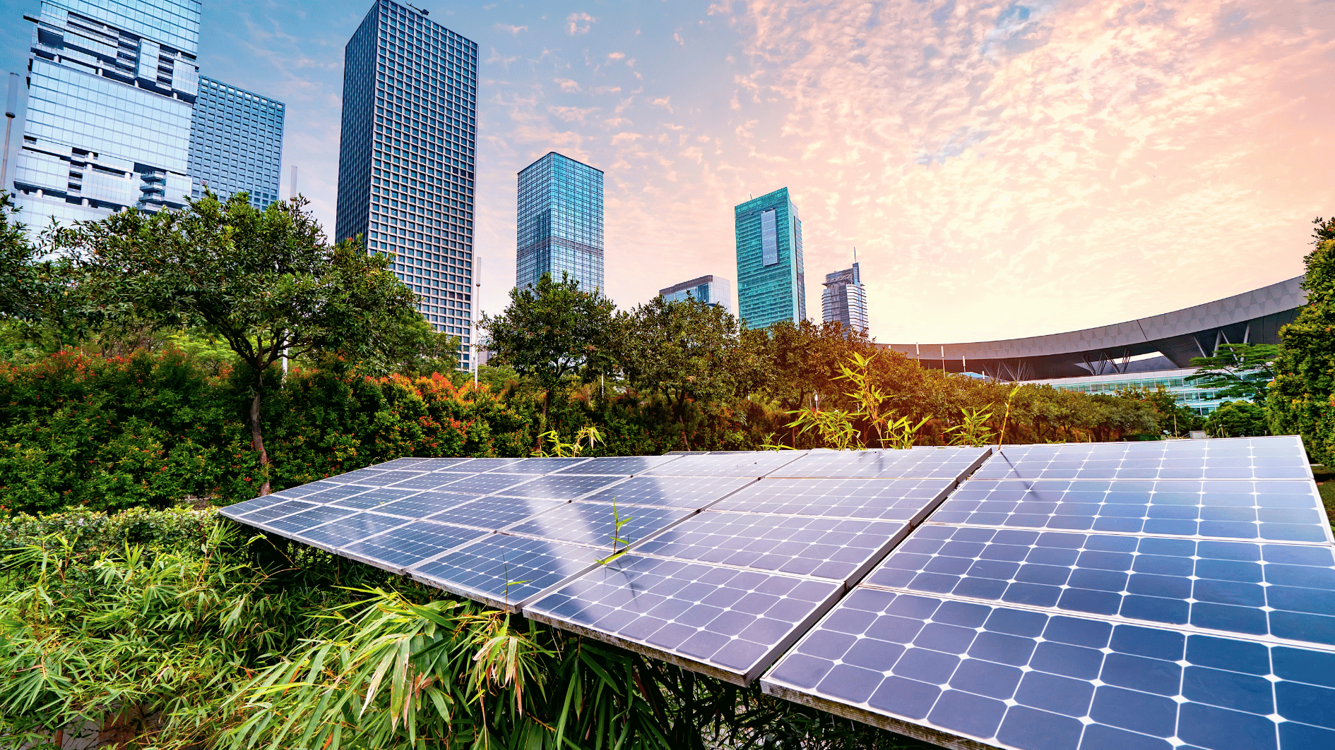 Renewable Energy Policy Focus in 2025: A Shift from Legislation to Implementation
