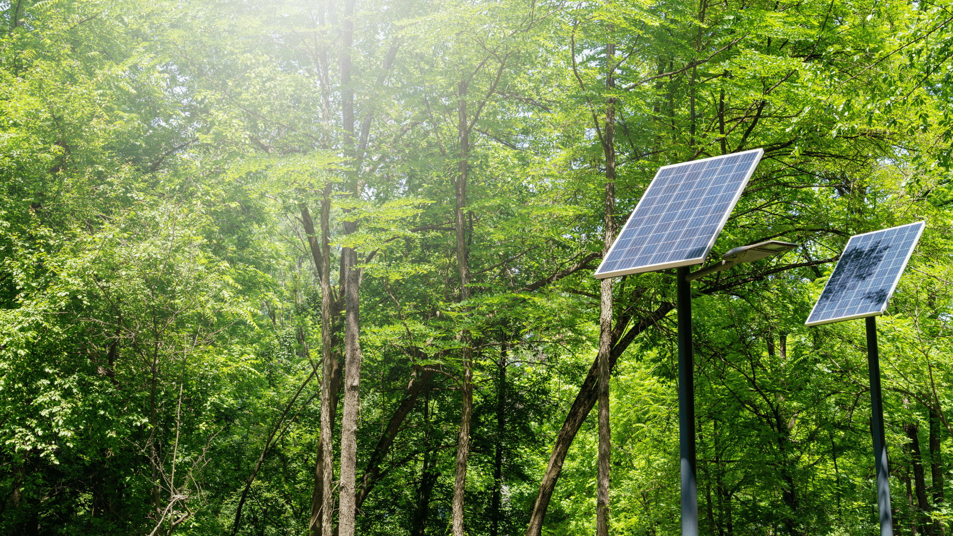 The Future of Solar Technology: How AI and Smart Grids Are Revolutionizing Solar Panels